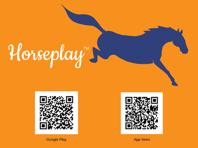 horse council bc horseplay program, horseplay app, bc summer games,maple ridge equi-sports centre