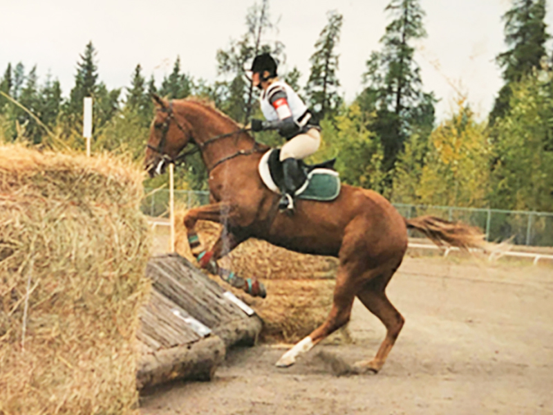 canadian horse bloggers, horse blogs in canada, abby stilwell blog