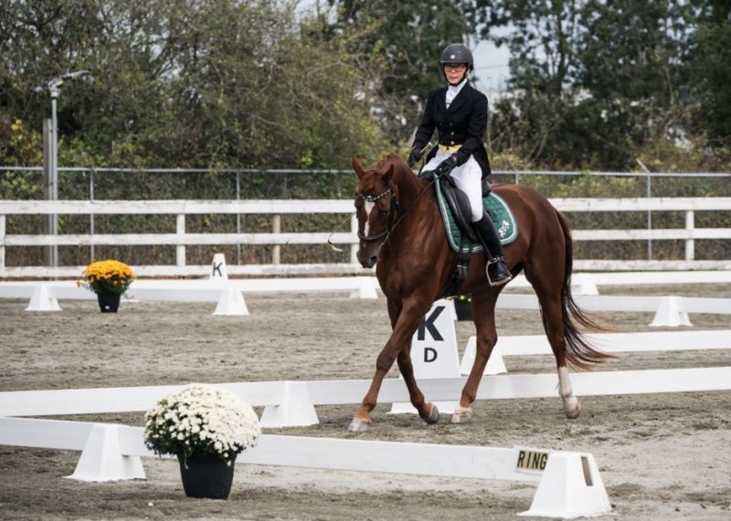 2022 bc 55+ summer games equestrian photos