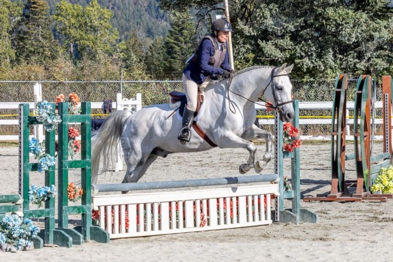 2022 bc 55+ summer games equestrian photos