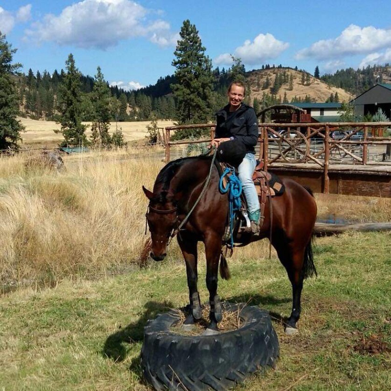 rescue horses canada, homes for retired racehorses canada, greener pastures, wild horses of alberta, longrun thoroughbred, new stride equine retirement, thoroughbred aftercare alliance, horse welfare alliance of canada