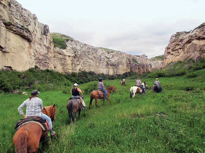 trail riding preparation, horse fitness training, trail horse skills, equine conditioning program, horse camping trips Canada, rider fitness equestrian, trail riding safety, horse training for trails