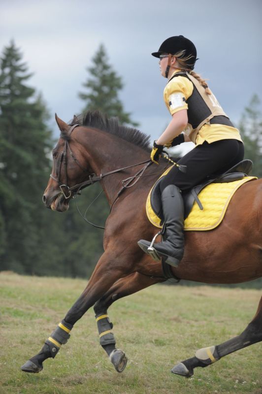 types of horse riding boots, picking a boot for riding horses, english boots, western boots, field boots, dress boots, dressage boots, hunt boots, paddock boots, wellies, muck boots, western boots, tall boots, riding boots