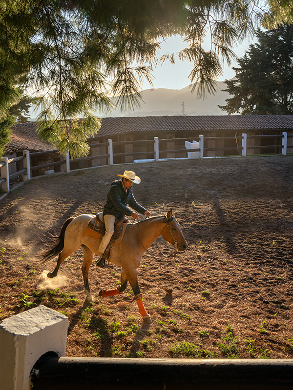 equine photography, horse photography tips, photographing horses, rule of thirds photography, equine composition techniques, horse photo focus modes, AF-C tracking horses, photographing moving horses, Canadian equestrian photography, Shawn Hamilton photography, Clix Photography, horse photography composition, capturing horses in motion, equine photo tips Canada, horse rider photography