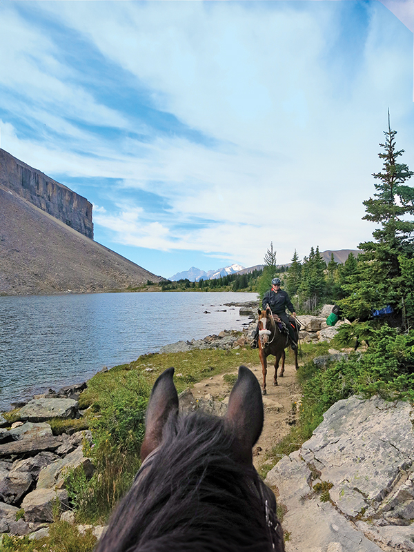 horses meeting other horses on trail, trail riding preparation, horse fitness training, trail horse skills, equine conditioning program, horse camping trips Canada, rider fitness equestrian, trail riding safety, horse training for trails