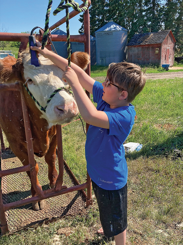 family farms, how to run a family farm, horse farms, how to manage farm and family life, canadian farms, horse farms canada, managing farm and children, tania millen