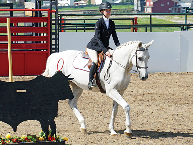 tracey skinner meadowlands equestrian, riding older horses, teenaged horses