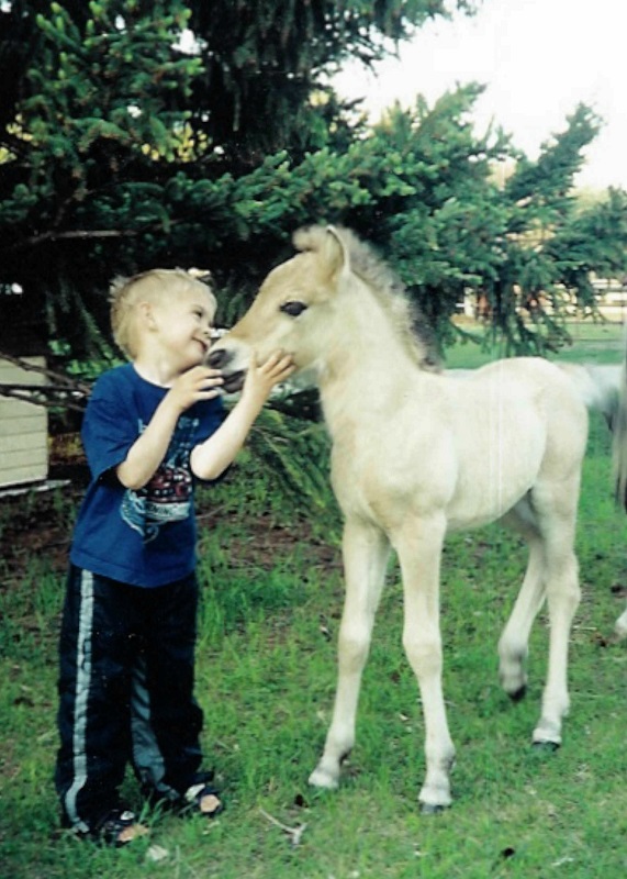 Norwegian Fjord, Asiatic wild horse or Przewalski horse, Highland Pony and the Icelandic Horse. Horses used by vikings, Beaver Dam Farm in Nova Scotia, American Driving Society (ADS), Wallace Point Fjords, Blue Raven Farm, and McKinnon’s Neck Farm