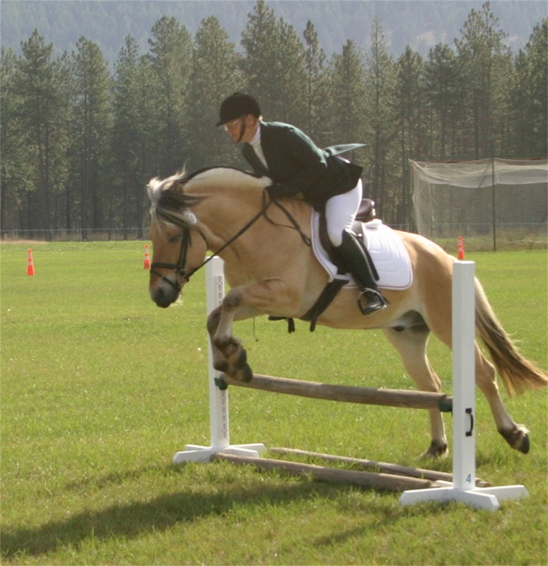 Norwegian Fjord, Asiatic wild horse or Przewalski horse, Highland Pony and the Icelandic Horse. Horses used by vikings, Beaver Dam Farm in Nova Scotia, American Driving Society (ADS), Wallace Point Fjords, Blue Raven Farm, and McKinnon’s Neck Farm