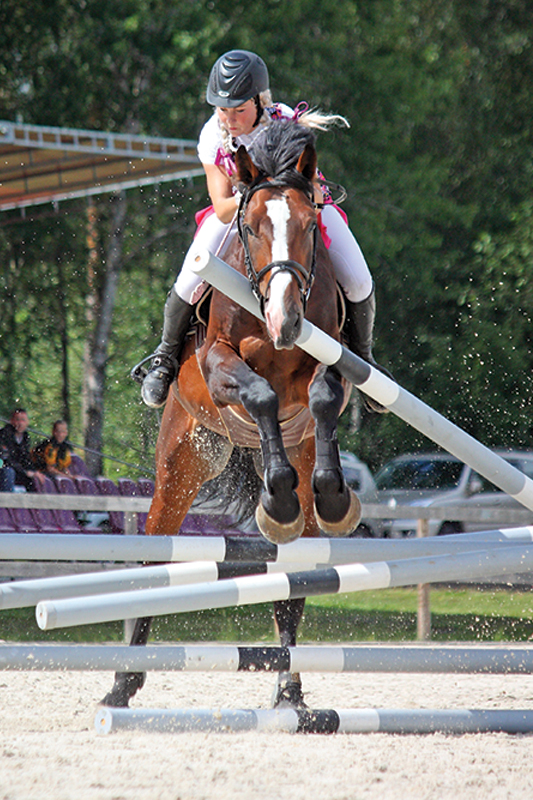 how to be a good horse rider, psychology horse riding, nervous riding horses, anxious in show ring equine, annika mcgivern, perfectionism horse riding