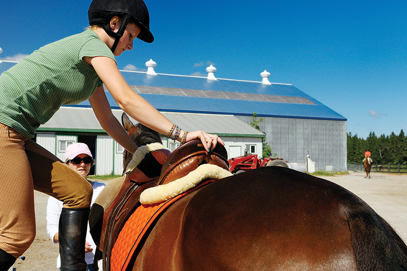 horse rider fear, scared riding horses, psychology horse riders, annika mcgivern, equestrian psychology