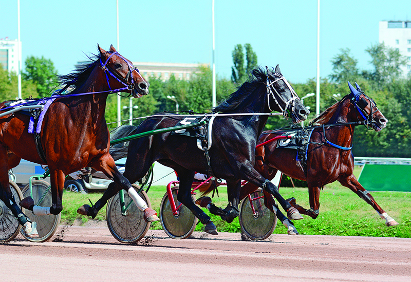 equine industry symposium 2021, covid-19 canada's horse industry, university of guelph symposium, canada's horse industry