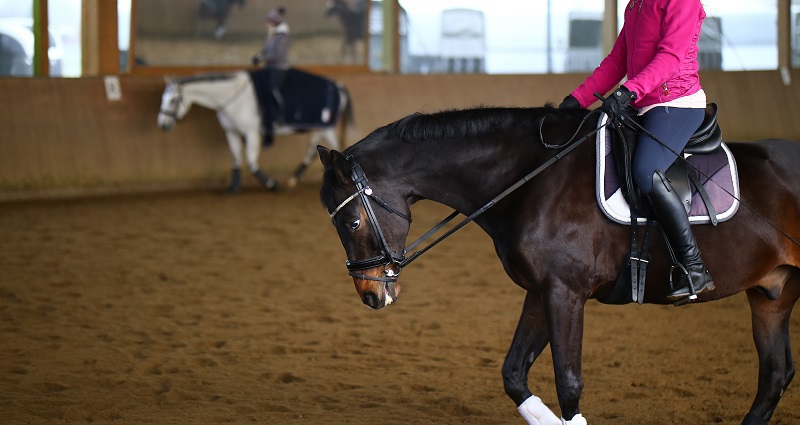 need to nag horse, using spurs horse, using whip horse