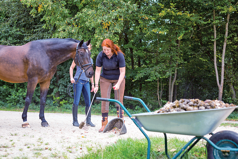 climate change horse industry, prepare horse farm for climate change, heat dome horses, rescuing horses disaster, hay shortages, colic horses