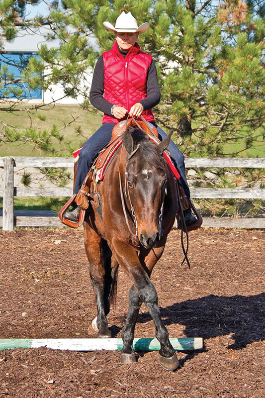 schooling horses, lindsay grice, how to practice for horse show, beginners exercises horse, side pass horse, trail obstacles horses, horsemanship, riding coach