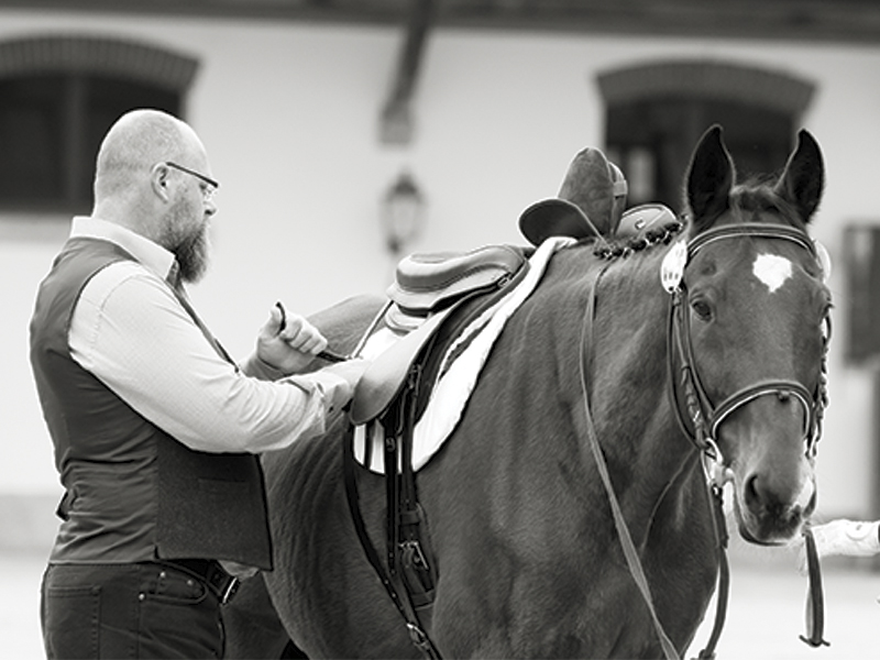how to ride sidesaddle, sidesaddle makers, sidesaddle clubs, sidesaddle associations, western sidesaddles, english sidesaddles, patricia hardy sidesaddle, robert jenkins malvern saddle, susan bellinger sidesaddle