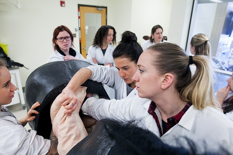 EFC charity Canada, equine welfare Canada, horse charity Canada history, veterinary scholarships horses Canada, equine education funding, Canadian horse industry support, equine nonprofit Canada