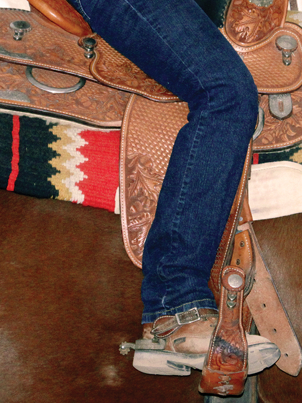 horse is desensitized, how to use spurs horse