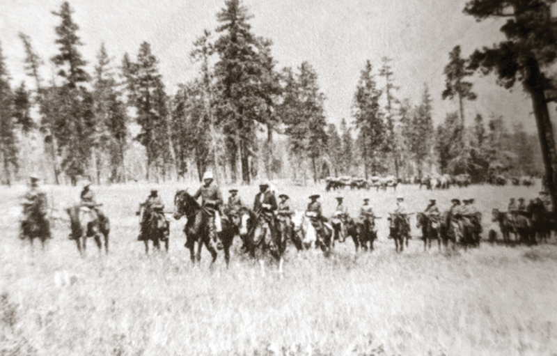 Col. S.B. Steele, Strathcona's Horse, horses in history, sam steele's horses, north-west rebellion, cowboy cavalry, buckskin cavalry, alberta field force horses, horses Canadian army, commemorative troop association horses