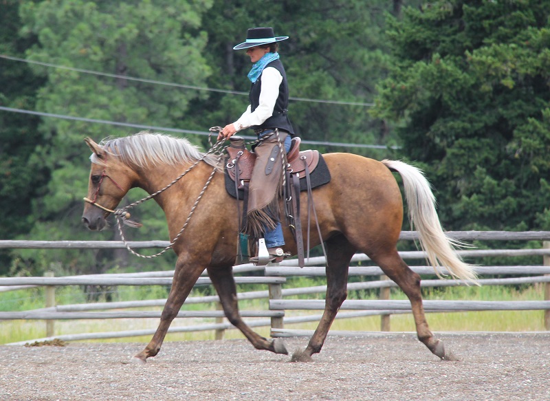 bridle horse riding, tania millen, martin black horse trainer, spanish cowboys, stefanie travers horse trainer, straight up bridle, bosal two rein, roping