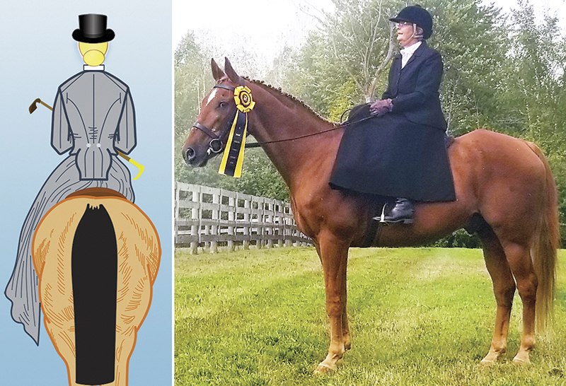 how to ride sidesaddle, sidesaddle makers, sidesaddle clubs, sidesaddle associations, western sidesaddles, english sidesaddles, patricia hardy sidesaddle, robert jenkins malvern saddle, susan bellinger sidesaddle