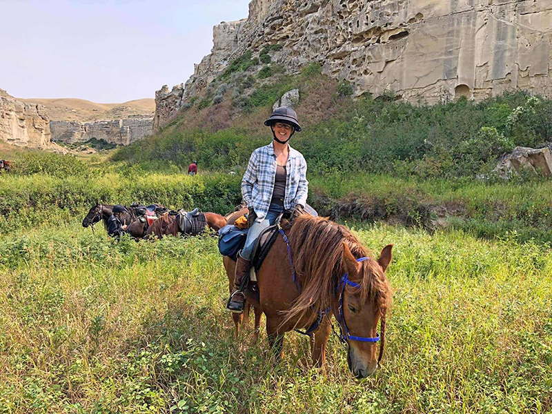 canadian horse breed, canada's national breed, chhaps, canadian horse heritage & preservation society, canada's national horse, horseback riding in writing-on-stone provincial park