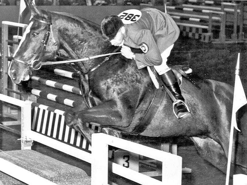 Tom Gayford, Canadian equestrian sport, Olympic show jumping Canada, Big Dee horse, Canada Olympic gold 1968, Canadian show jumping history, equestrian legends Canada, horse sport Canada, Pan American Games equestrian, Canadian horse industry, equestrian coaching Canada, show jumping course designer, Canadian Olympic riders, equestrian news Canada, horse sport legacy