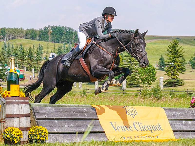 tracey skinner fara, riding older horses, tania millen
