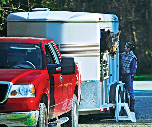 how to safely haul a horse, horse hauling, kevan garecki, safely transporting horses, horse transport anxiety