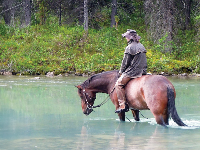 trail riding preparation, horse fitness training, trail horse skills, equine conditioning program, horse camping trips Canada, rider fitness equestrian, trail riding safety, horse training for trails