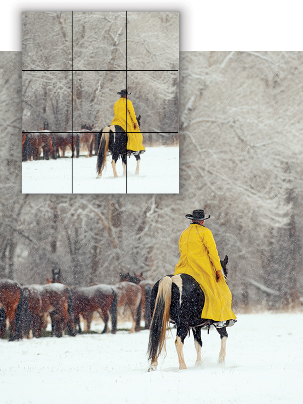 equine photography, horse photography tips, photographing horses, rule of thirds photography, equine composition techniques, horse photo focus modes, AF-C tracking horses, photographing moving horses, Canadian equestrian photography, Shawn Hamilton photography, Clix Photography, horse photography composition, capturing horses in motion, equine photo tips Canada, horse rider photography
