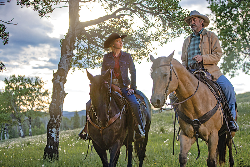 horses used in hollywood movies, the black stallion, seabisquit, national velvet, ben-hur, gladiator, john scott productions, legends of the fall, heartland, war horse, devil's horseman