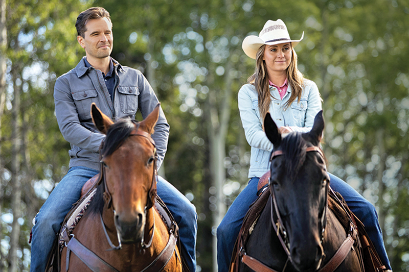 horses used in hollywood movies, the black stallion, seabisquit, national velvet, ben-hur, gladiator, john scott productions, legends of the fall, heartland, war horse, devil's horseman