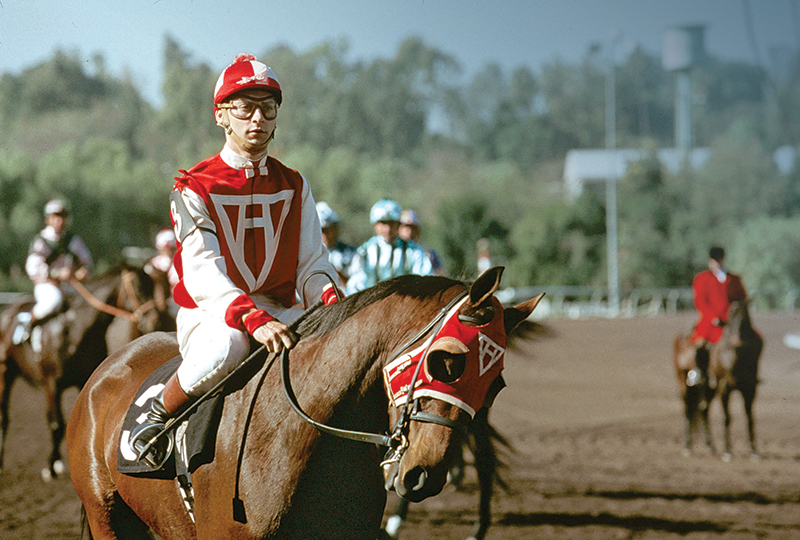horses used in hollywood movies, the black stallion, seabisquit, national velvet, ben-hur, gladiator, john scott productions, legends of the fall, heartland, war horse, devil's horseman