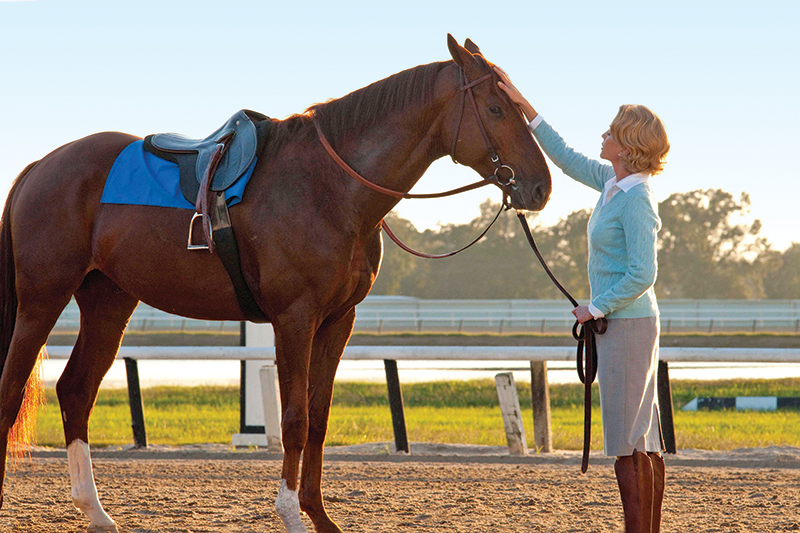 horses used in hollywood movies, the black stallion, seabisquit, national velvet, ben-hur, gladiator, john scott productions, legends of the fall, heartland, war horse, devil's horseman