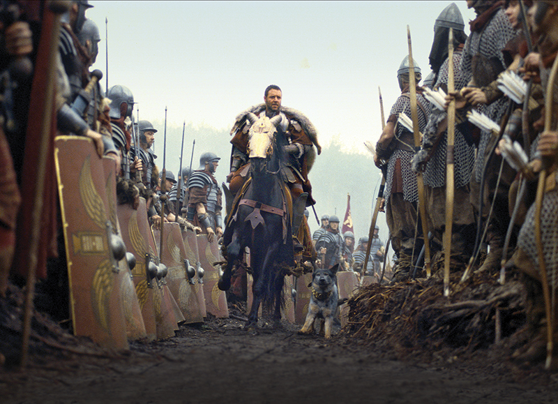 horses used in hollywood movies, the black stallion, seabisquit, national velvet, ben-hur, gladiator, john scott productions, legends of the fall, heartland, war horse, devil's horseman