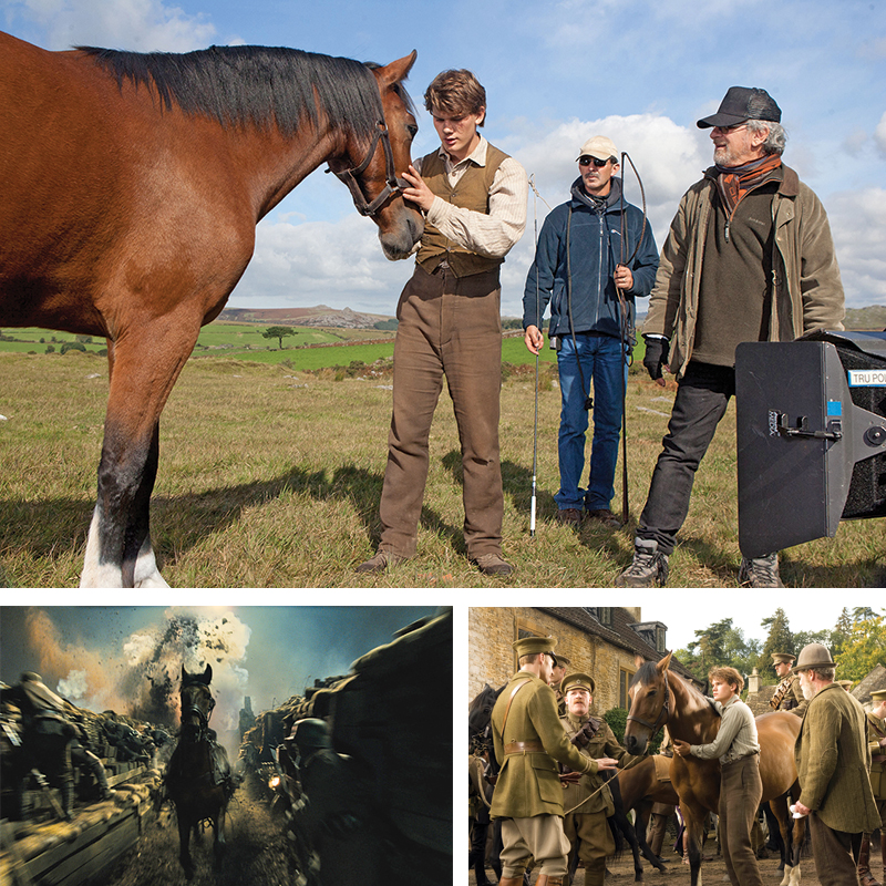 horses used in hollywood movies, the black stallion, seabisquit, national velvet, ben-hur, gladiator, john scott productions, legends of the fall, heartland, war horse, devil's horseman