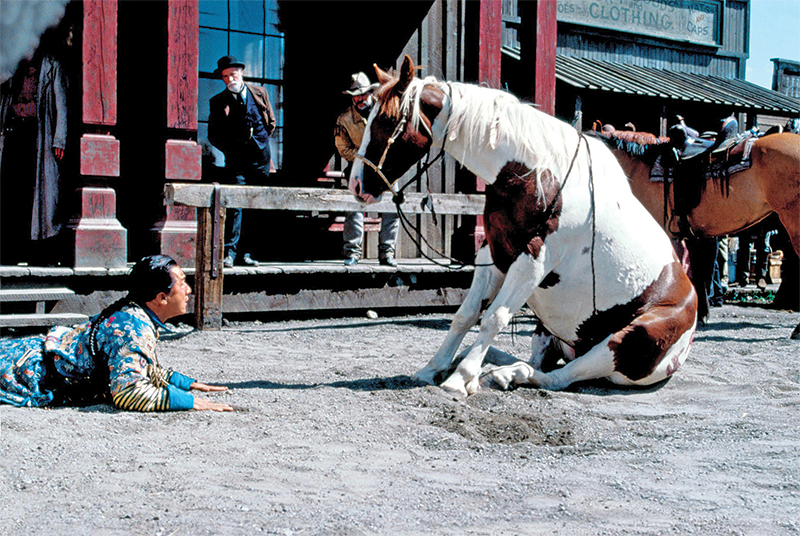 horses used in hollywood movies, the black stallion, seabisquit, national velvet, ben-hur, gladiator, john scott productions, legends of the fall, heartland, war horse, devil's horseman