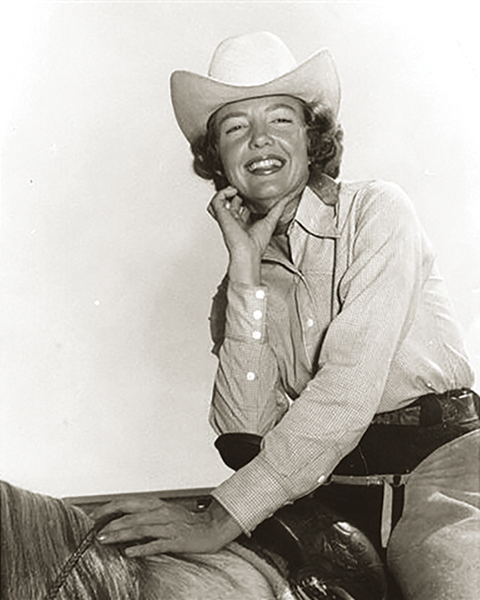 horses used in hollywood movies, the black stallion, seabisquit, national velvet, ben-hur, gladiator, john scott productions, legends of the fall, heartland, war horse, devil's horseman