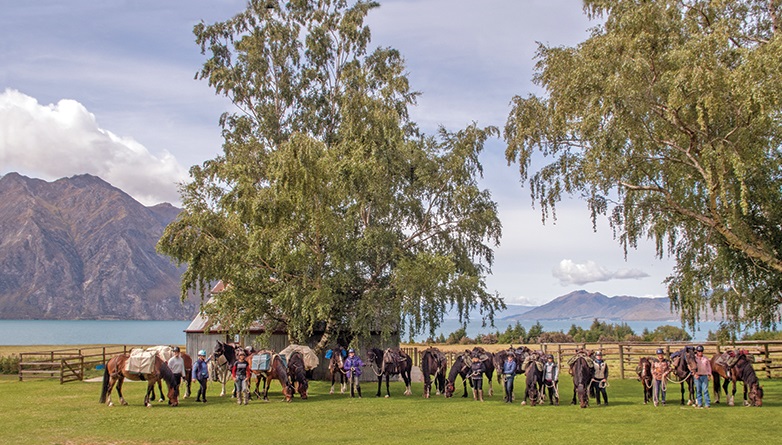 riding vacations, holidays with horses, wild women exhibitions horse rides, new zealand riding vacations, shawn hamilton