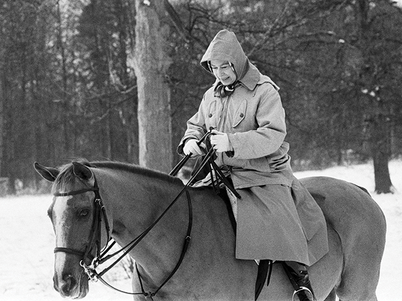 queen canada history, queen horses, queen elizabeth horses, equestrianism royalty, royal horses, royalty riding horses