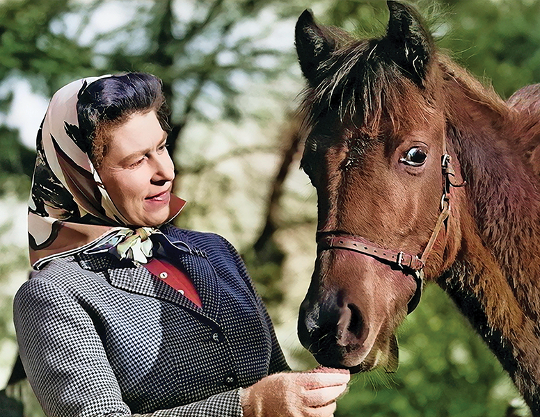 queen canada history, queen horses, queen elizabeth horses, equestrianism royalty, royal horses, royalty riding horses