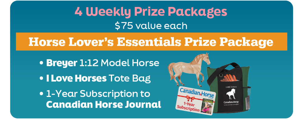 horse contests