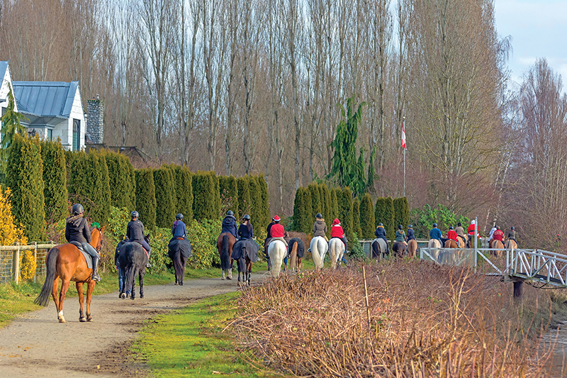 Southlands Riding Club in Vancouver BC, Southlands Riding Club president Whitney Santos, not-for-profit horse riding clubs in BC