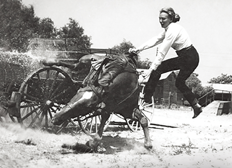 horses used in hollywood movies, the black stallion, seabisquit, national velvet, ben-hur, gladiator, john scott productions, legends of the fall, heartland, war horse, devil's horseman