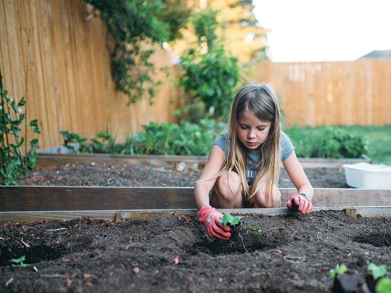 what is 4-h? how do I sign my child up for 4-h? 4-h riding lessons, horses in 4-h, shelagh niblock, what is a 4h project?