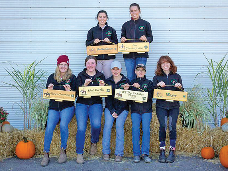 what is 4-h? how do I sign my child up for 4-h? 4-h riding lessons, horses in 4-h, shelagh niblock, what is a 4h project?