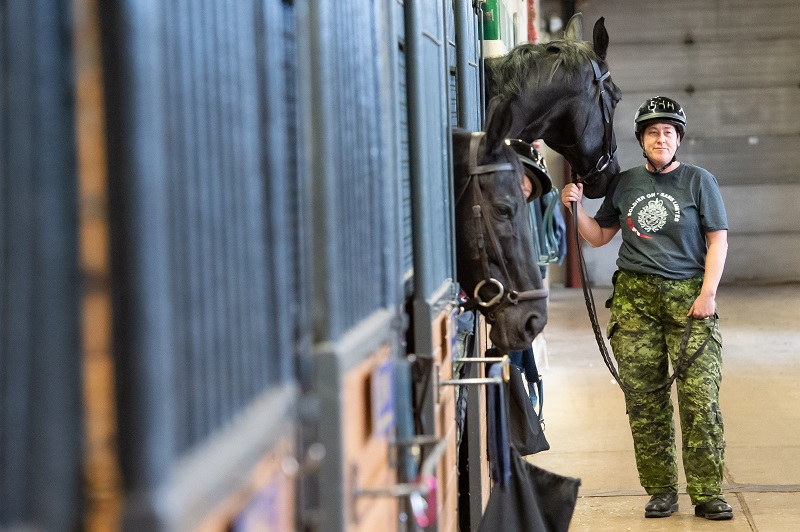 Soldier On program for injured soldiers and veterans, horse program for trauma survivors