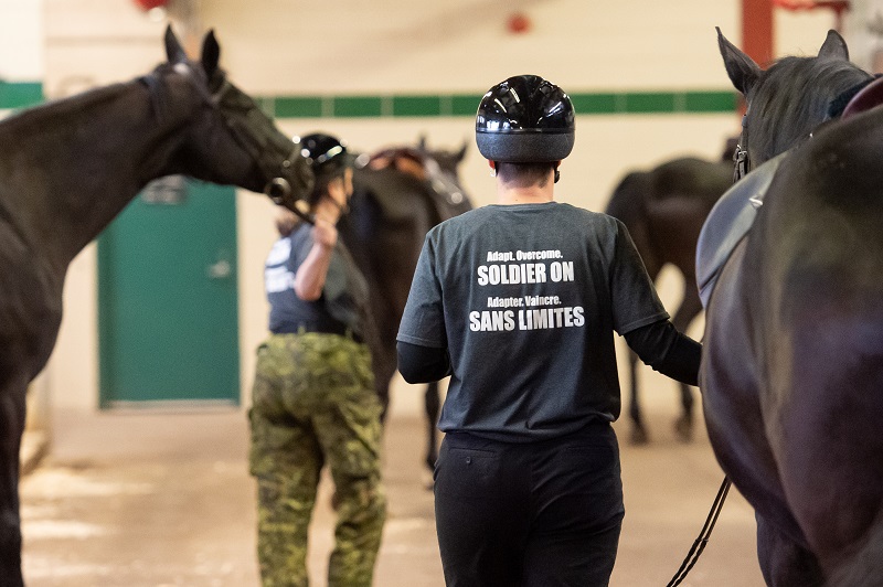 Soldier On program for injured soldiers and veterans, horse program for trauma survivors
