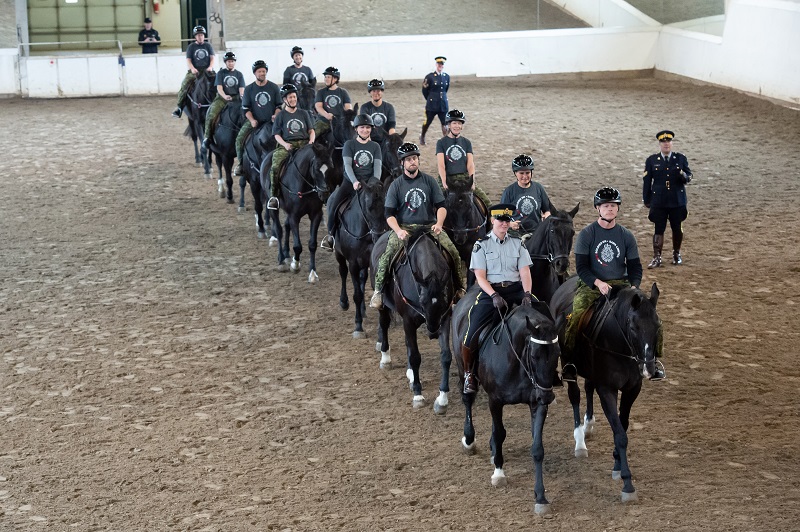 Soldier On program for injured soldiers and veterans, horse program for trauma survivors